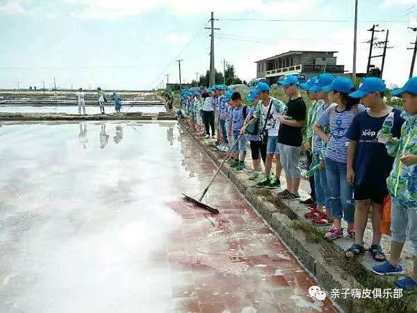 营养餐的营养价值_营养餐指的是什么_建阳营养餐